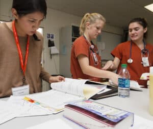 Social work and nursing students training together at UT Austin