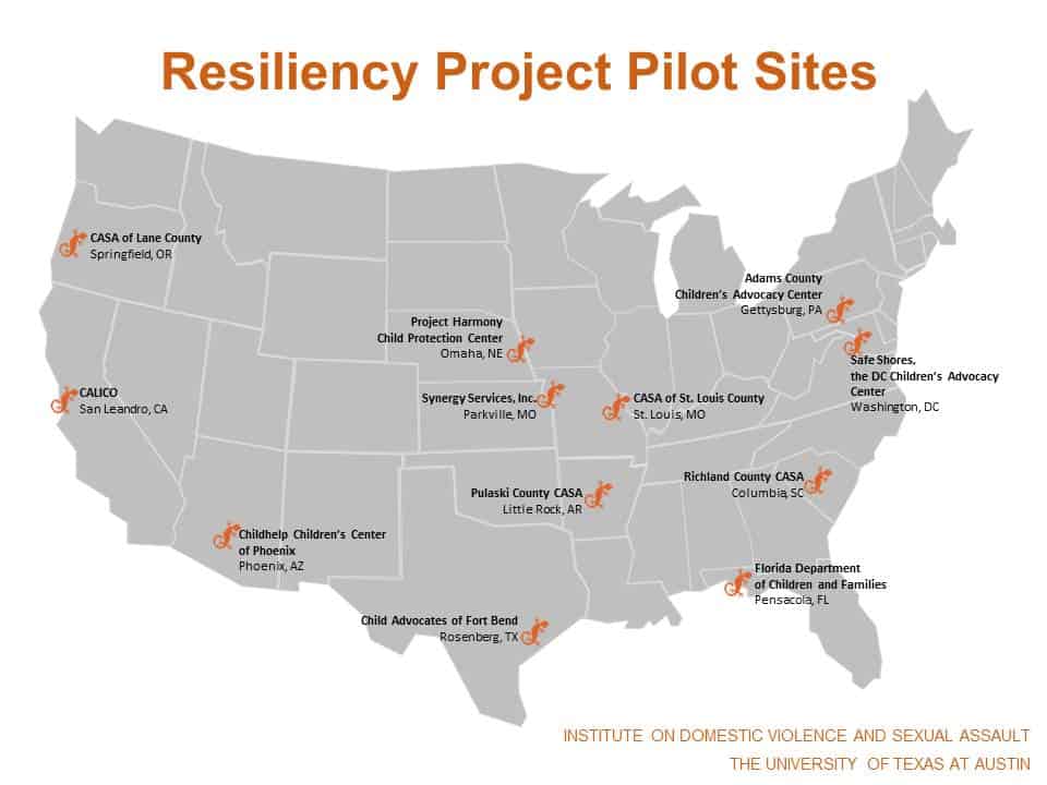 IDVSA Resiliency project