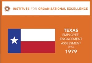 Institute for Organizational Excellence